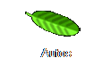 Autos